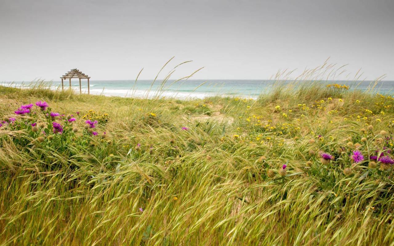 Romantic Beach Cabin - Playa El Palmar エル・パルマル エクステリア 写真